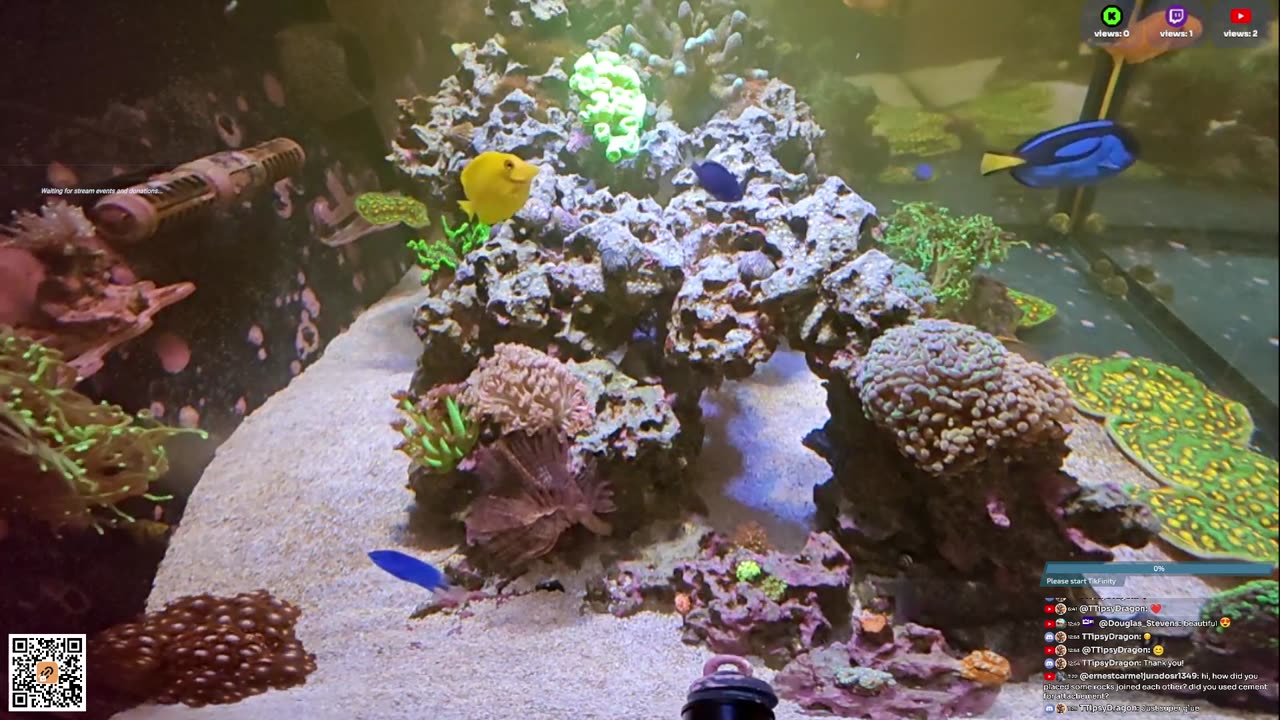24/7 Real Live Reef Stream