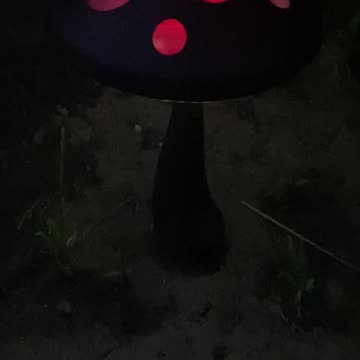 What a beautiful night!