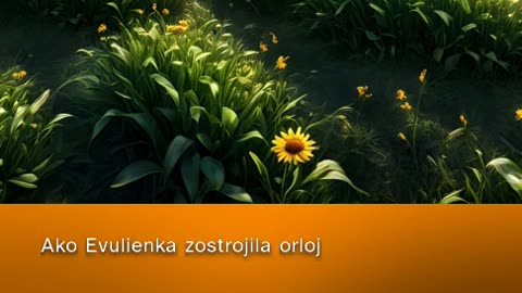 Ako Evulienka zostrojila orloj