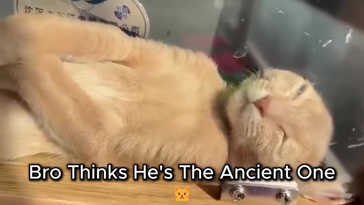 Bro thinks he is the ancient one