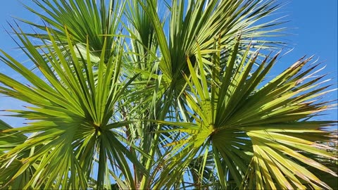 Test 153