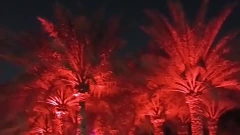 Very beautiful 🤩 looking ❣️