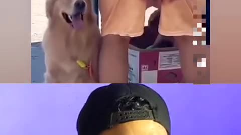 Trynottolaugh challenge part 21