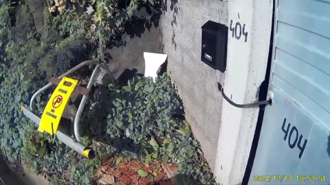 241213B___Madeira_NS-404,_unknown_to_me_plants_thrown_near_the_garden_entrance.(720p)