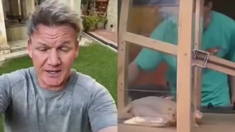 Gordon Ramsay food bloopers
