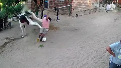 Rocking Elephant In River