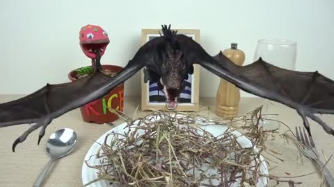 Kluna Tik eat Incredible eggs Dinosaur_part2