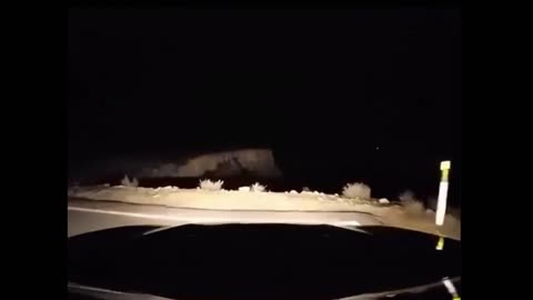 A bird became the messenger between life and death, guiding a driver away from a collapsed bridge