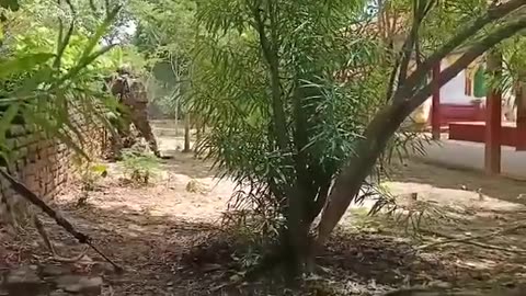 💥🚚 Myanmar War | PDF Ambush Junta Convoy in Monywa District | RCF