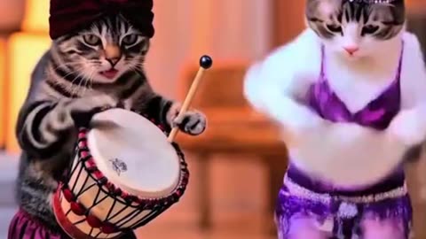 funny cats dance #funne #cat #ai #funne dance #animalas #meme