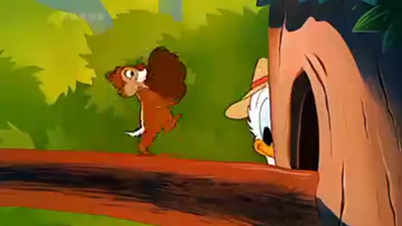 Tom and jarry funny vidieo