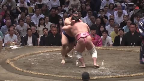 Sumo wrestling on fire 🔛🔥