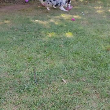 Let's get ready to rumble 2