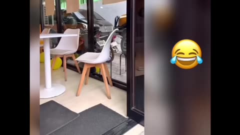 🤣🤣🤣🤣🤣🤣