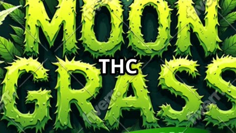 Moon grass PreLaunch Party
