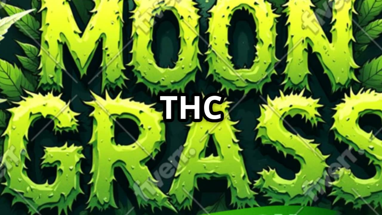 Moon grass PreLaunch Party