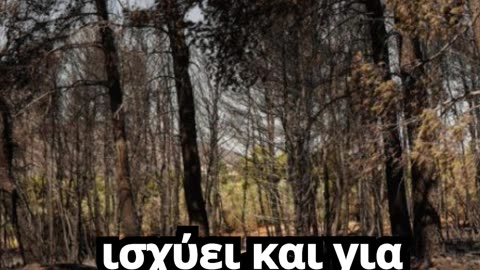 Υποχρεωτική η ασφάλιση για φυσικές καταστροφές σε επιχειρήσεις και αυτοκίνητα