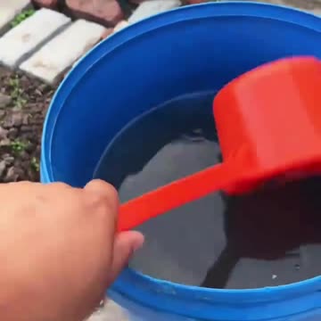 यह बातें जरूर याद रखना