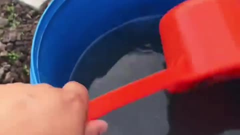 यह बातें जरूर याद रखना
