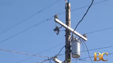 Mystery of ‘exploding birds’ deepens in California city