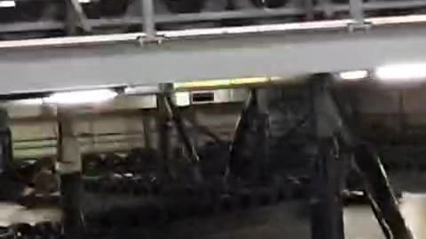 Old Go Kart Footage