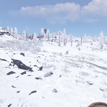 HV Rocket Vs Polar Bear in Rust