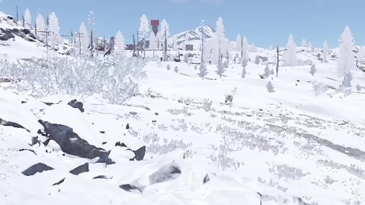 HV Rocket Vs Polar Bear in Rust