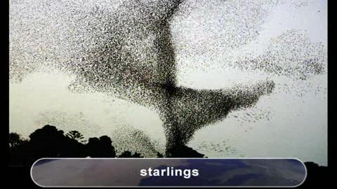 45. Humans - Dominating Geologic Change - TTC Video - How the Earth Works