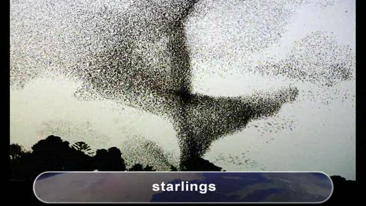 45. Humans - Dominating Geologic Change - TTC Video - How the Earth Works