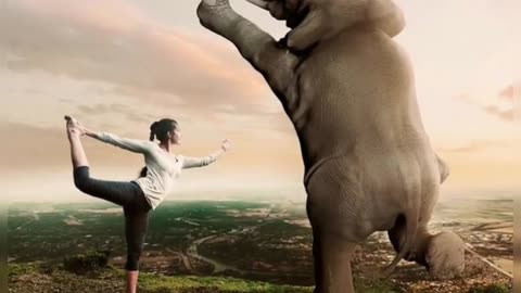 Elephant taking Yoga!!!