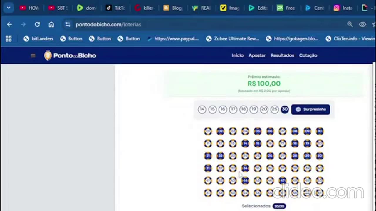 jogando no bicho certo completo2.mp4