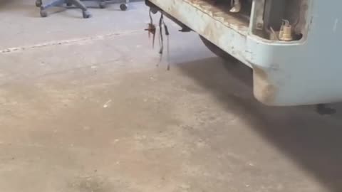 081625 TrucknHotrodranch Pete bought 3 trucks and many parts #automobile