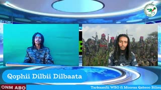 Qophii Dilbii Dilbataa ONM-ABO Fulbaana 21-2025 itti dhiyaadhaa!