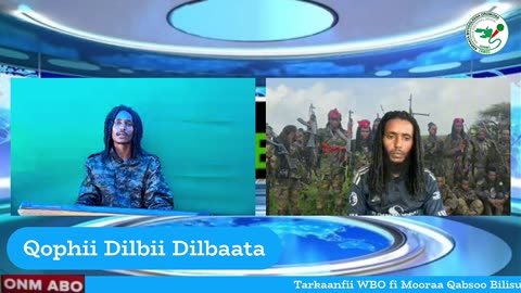 Qophii Dilbii Dilbataa ONM-ABO Fulbaana 21-2025 itti dhiyaadhaa!