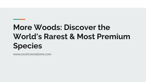 More Woods: Explore Rare & Premium Wood Species