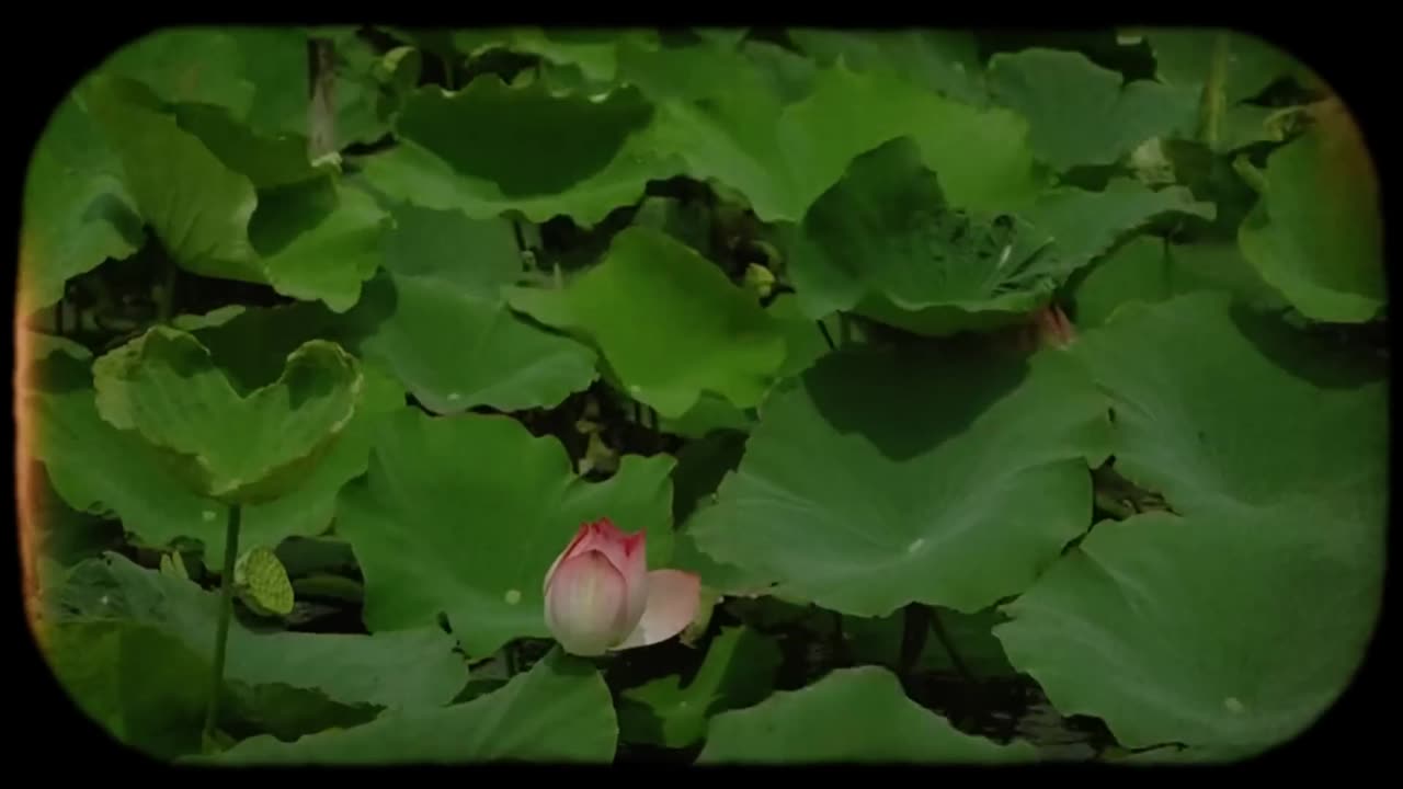 Life sometimes needs silence... - _a playlist for quiet hours_