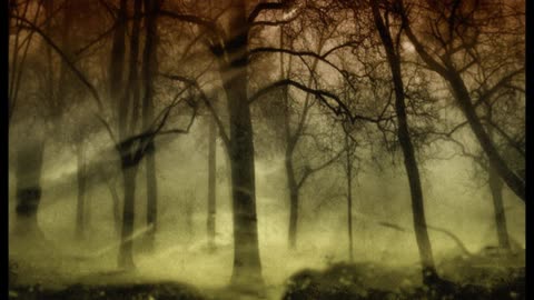 Disenchanted Forest - Bone Orchard - 1991/2025
