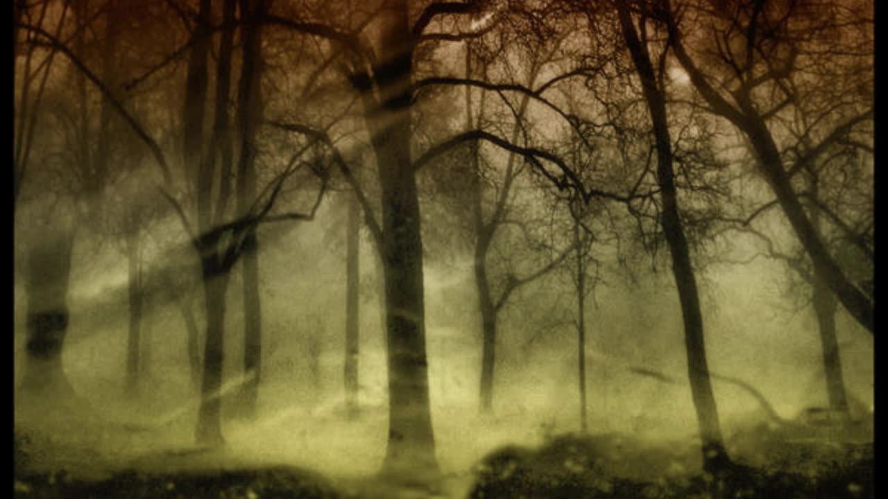 Disenchanted Forest - Bone Orchard - 1991/2025