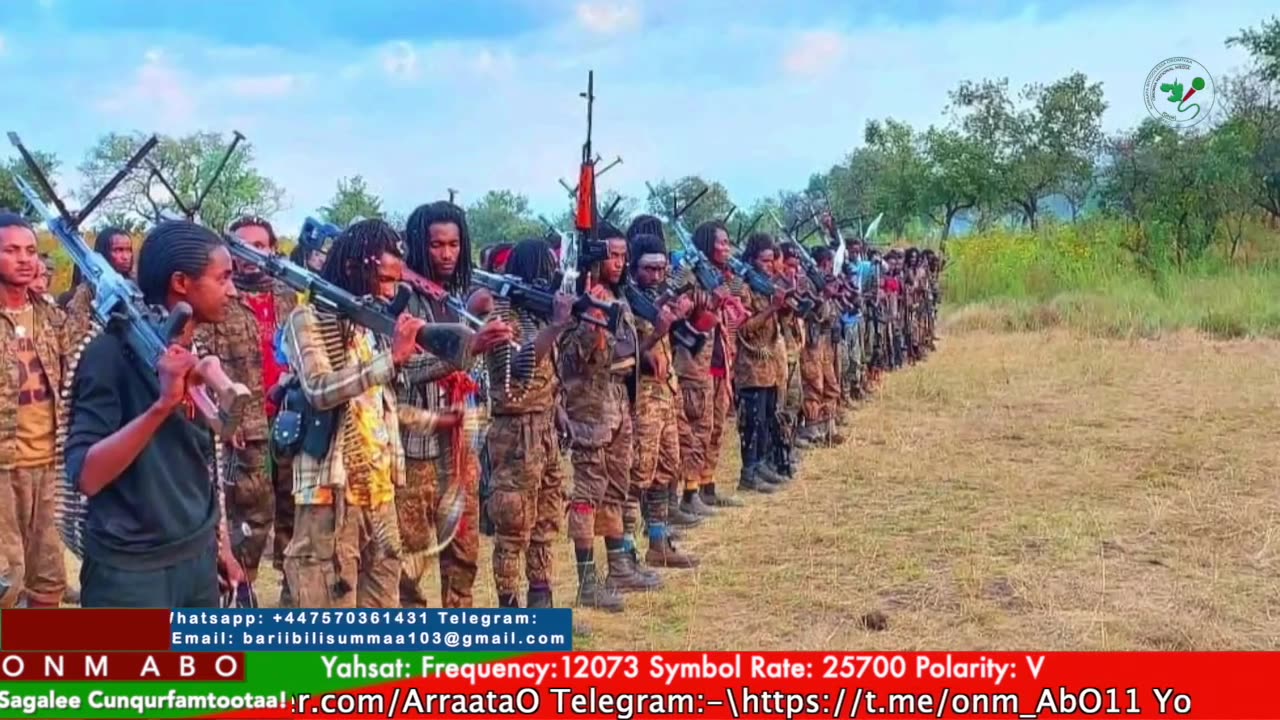 Gabaasa Tarkaanfii ONM-ABO Adoolessa 15-2025 itti dhiyaadhaa!