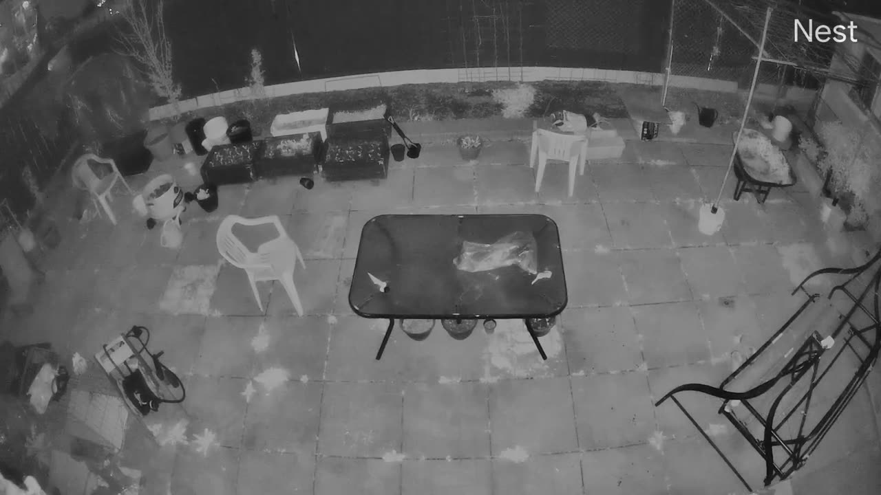 Un vaisseau spatial géant aperçu depuis la station spatiale