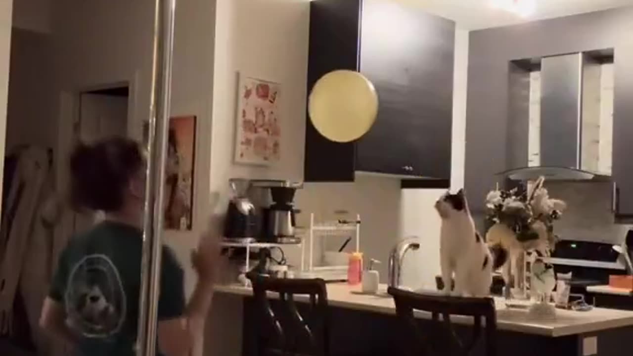 "Sorry I got plans" The plans: