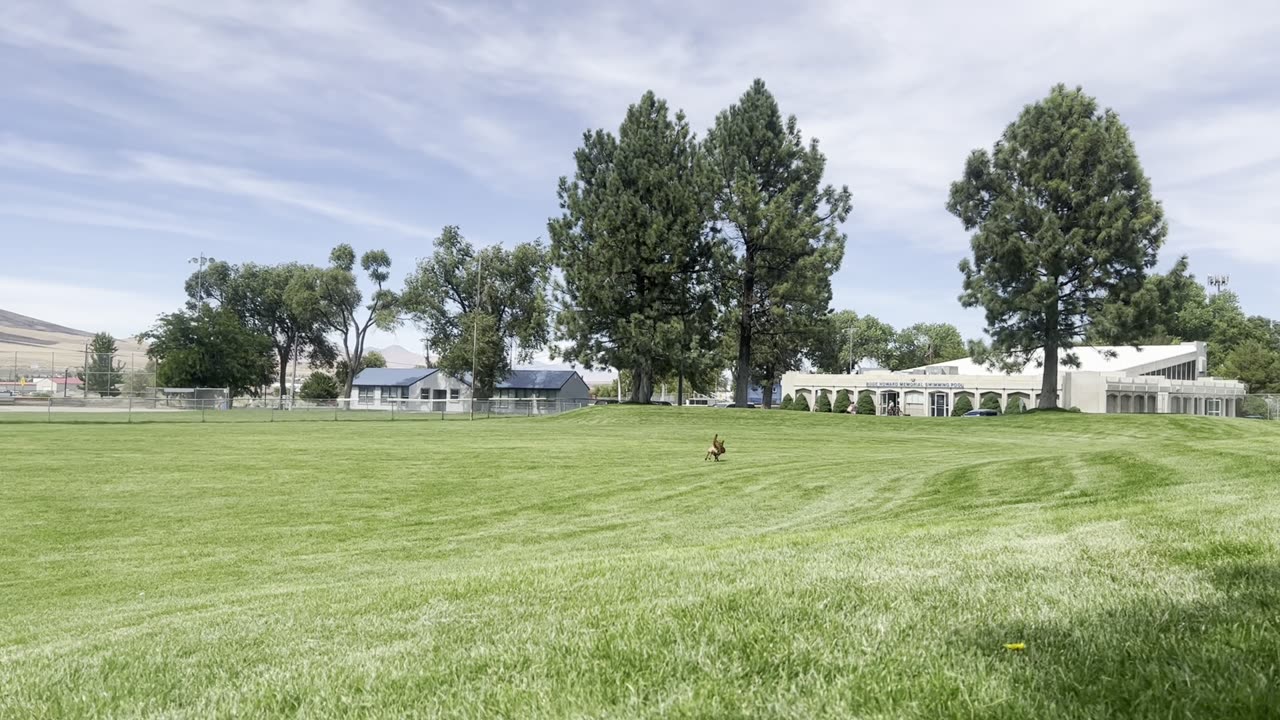 Tokala makes the catch in Winnemucca 2908420984
