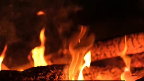 Daily Horoscope | Aries 🌟