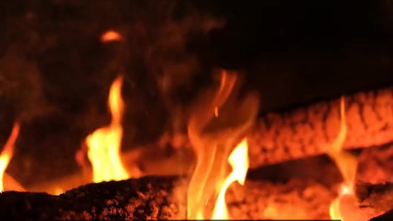 Daily Horoscope | Aries 🌟