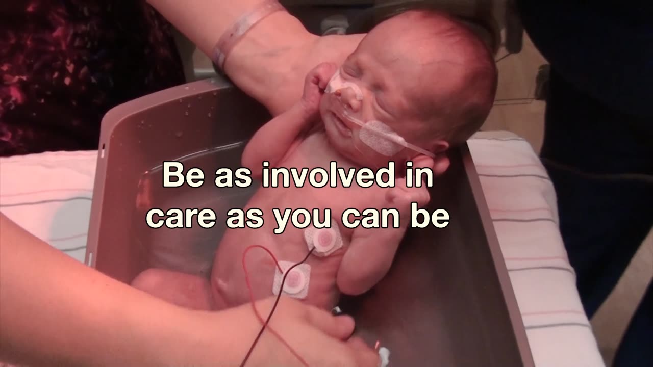 Premature Birth: Pregnancy and Birth (0843 Recap)