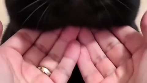 Beautiful big eyes