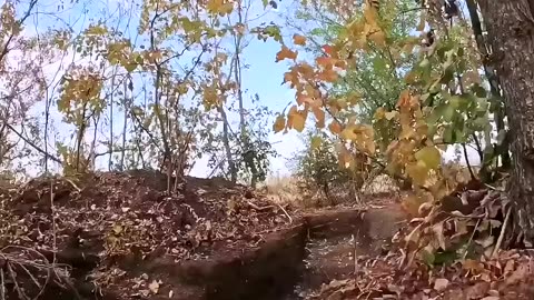 Australian volunteers fire at Russian targets during intense trench battle in Ukraine