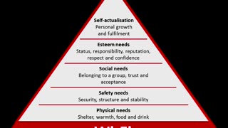 The Non-Urgency Of Our Time