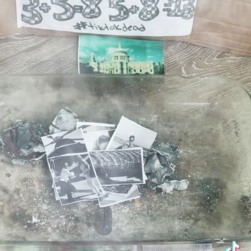 Tim Rifat TikTok Videos