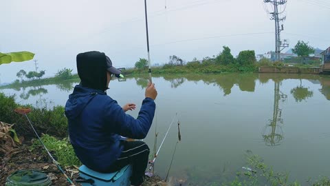 Bullhead Basics Surviving Harsh Waters